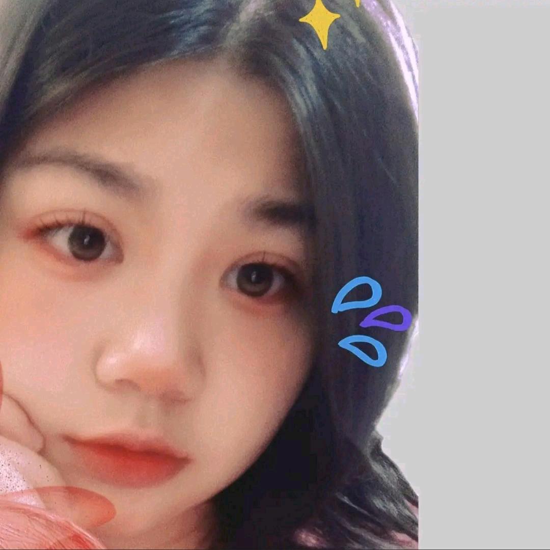 圈圈圆圆（广州流浪小猫领养版）