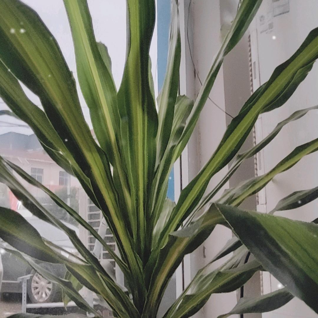 康健你我他