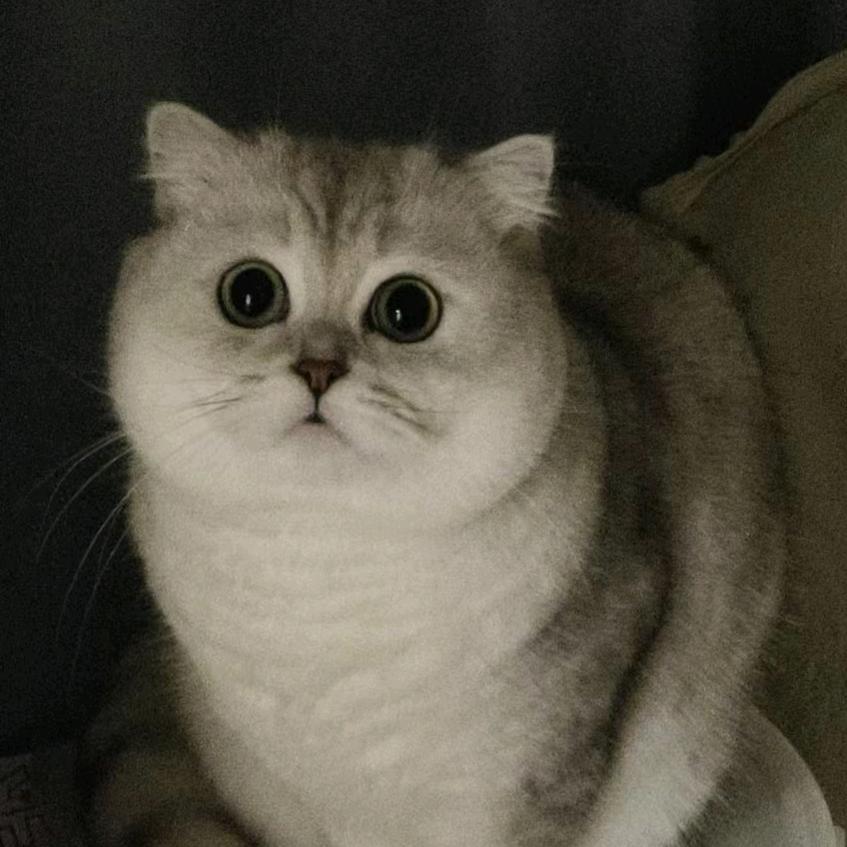 馒馒馒馒馒馒头