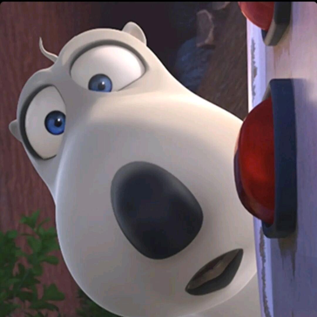 🐻