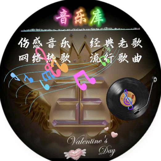 琳煜伤感音乐库