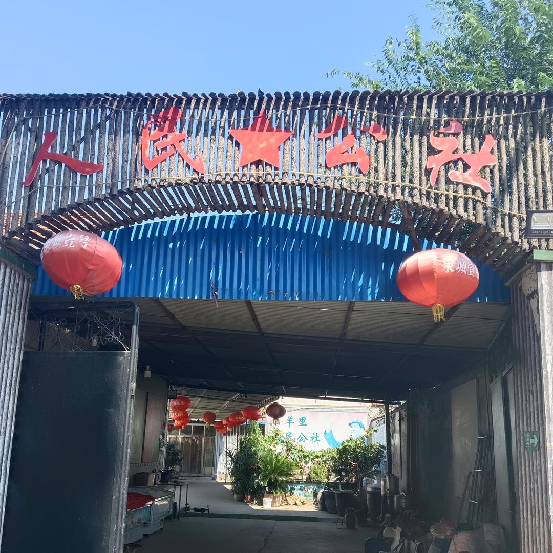 ☞胜名✔远扬☜