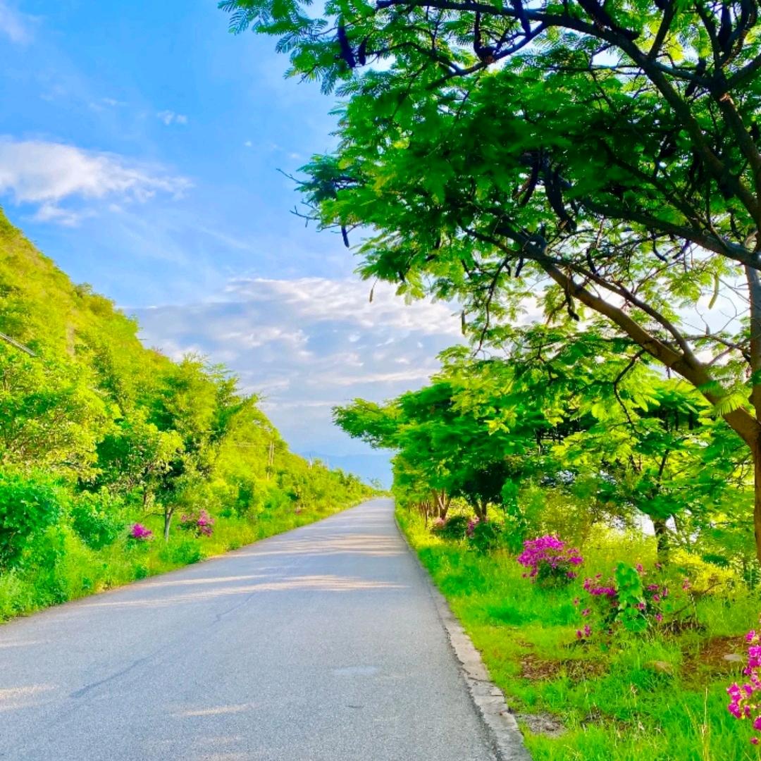 🫧等我越过这座⛰️🫧