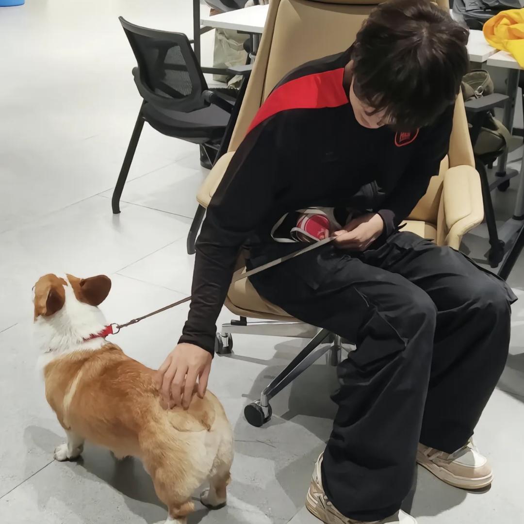胖哒瓜.