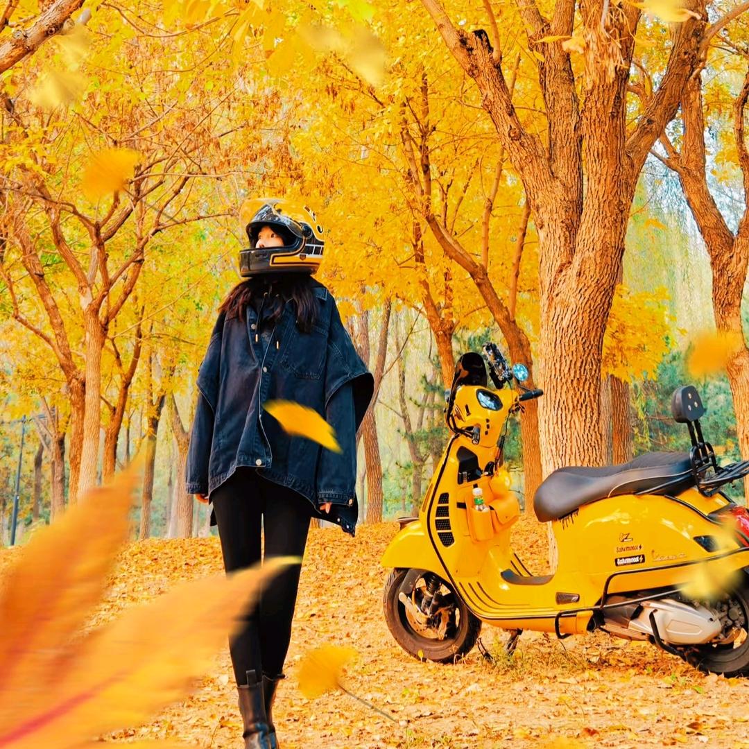 C1.C2.D摩托车培训机构