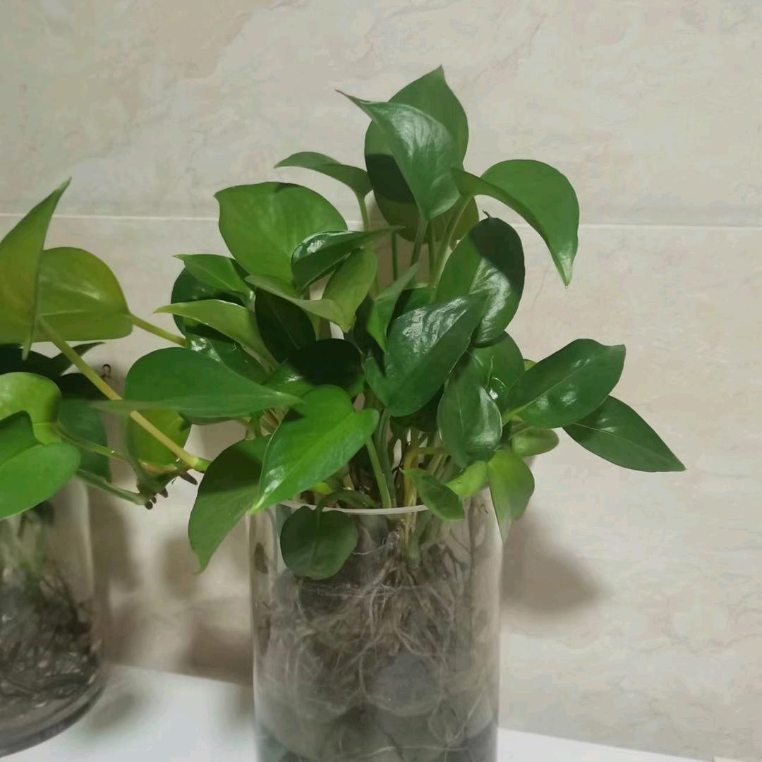用户
