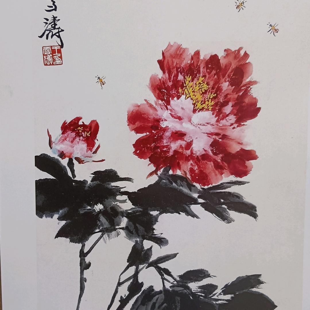 榴宝是超人