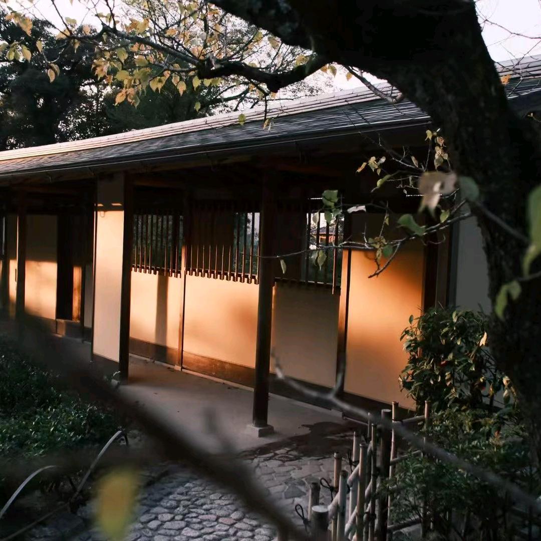 一杯清酒心已醉