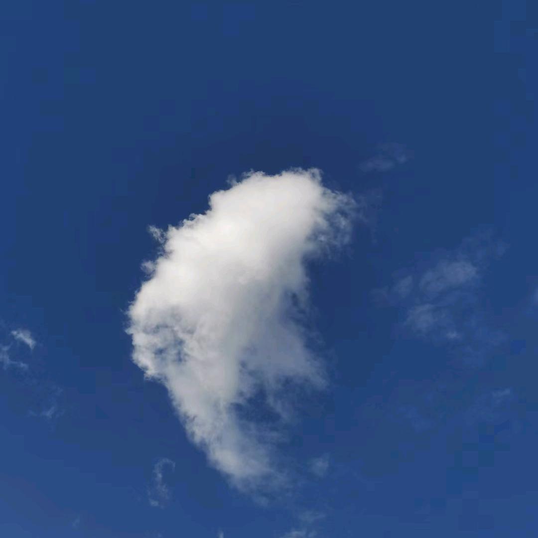 秦老四