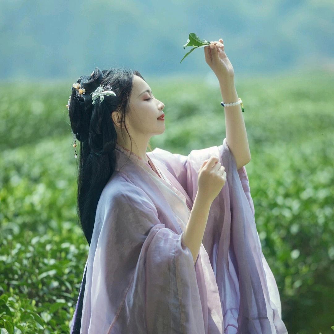 硕硕爱喝茶