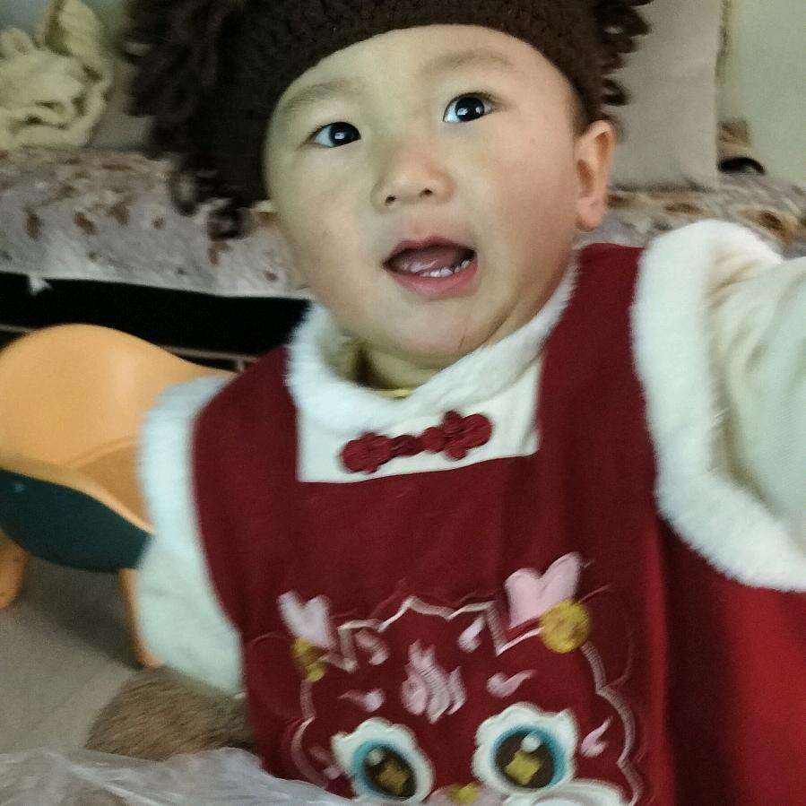 陶