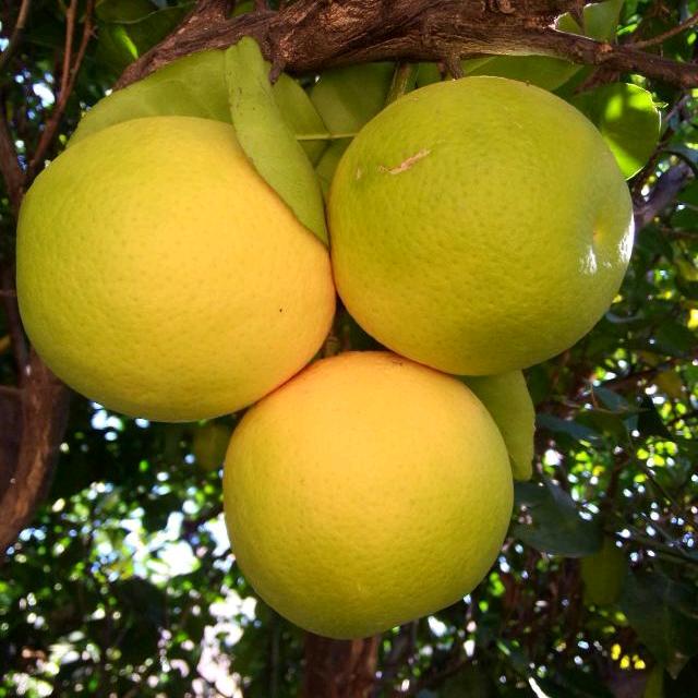 萍水相逢😘😘