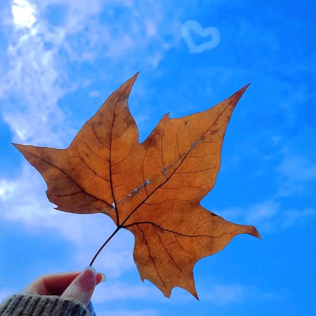 阳光房简餐
