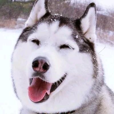简永安