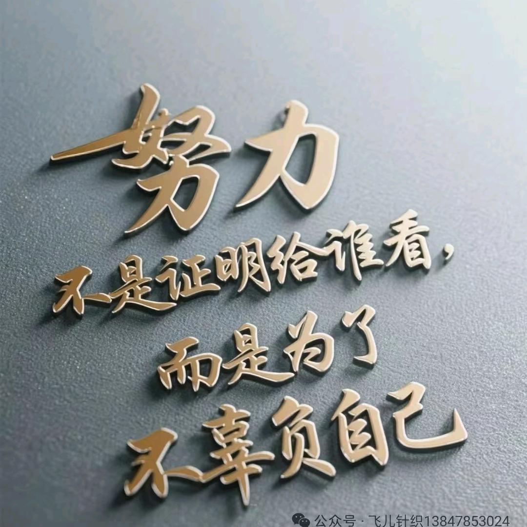 小阿毛💪
