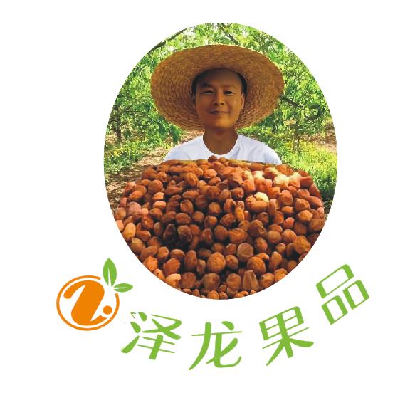 新疆四团吊干杏种植大户