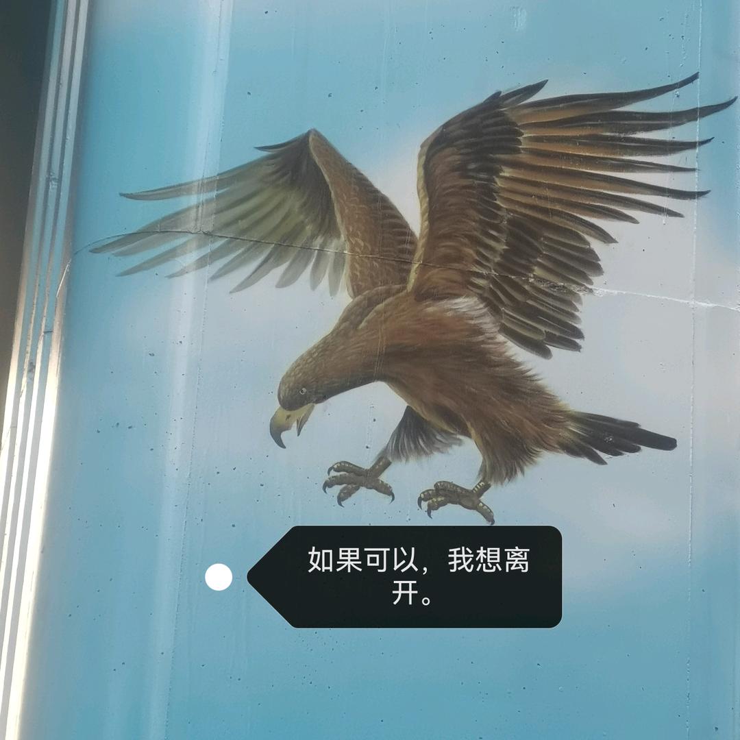 娟姐爱纹绣