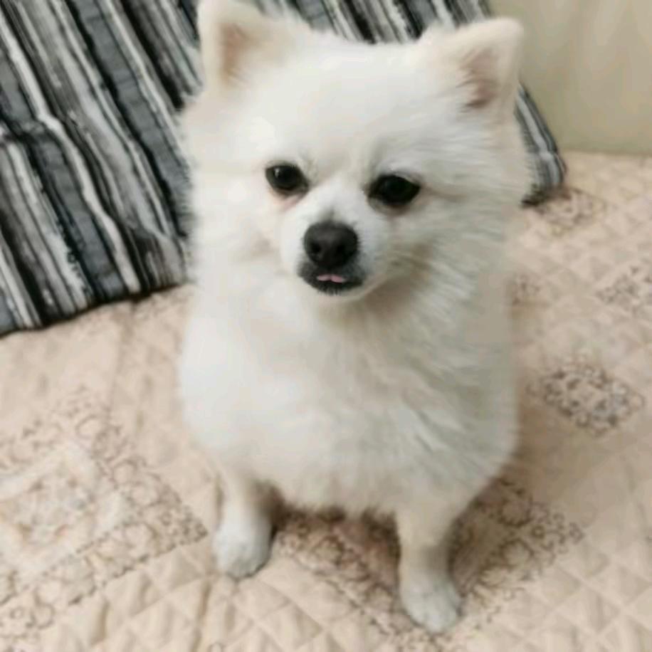 😍😍现任😍😍