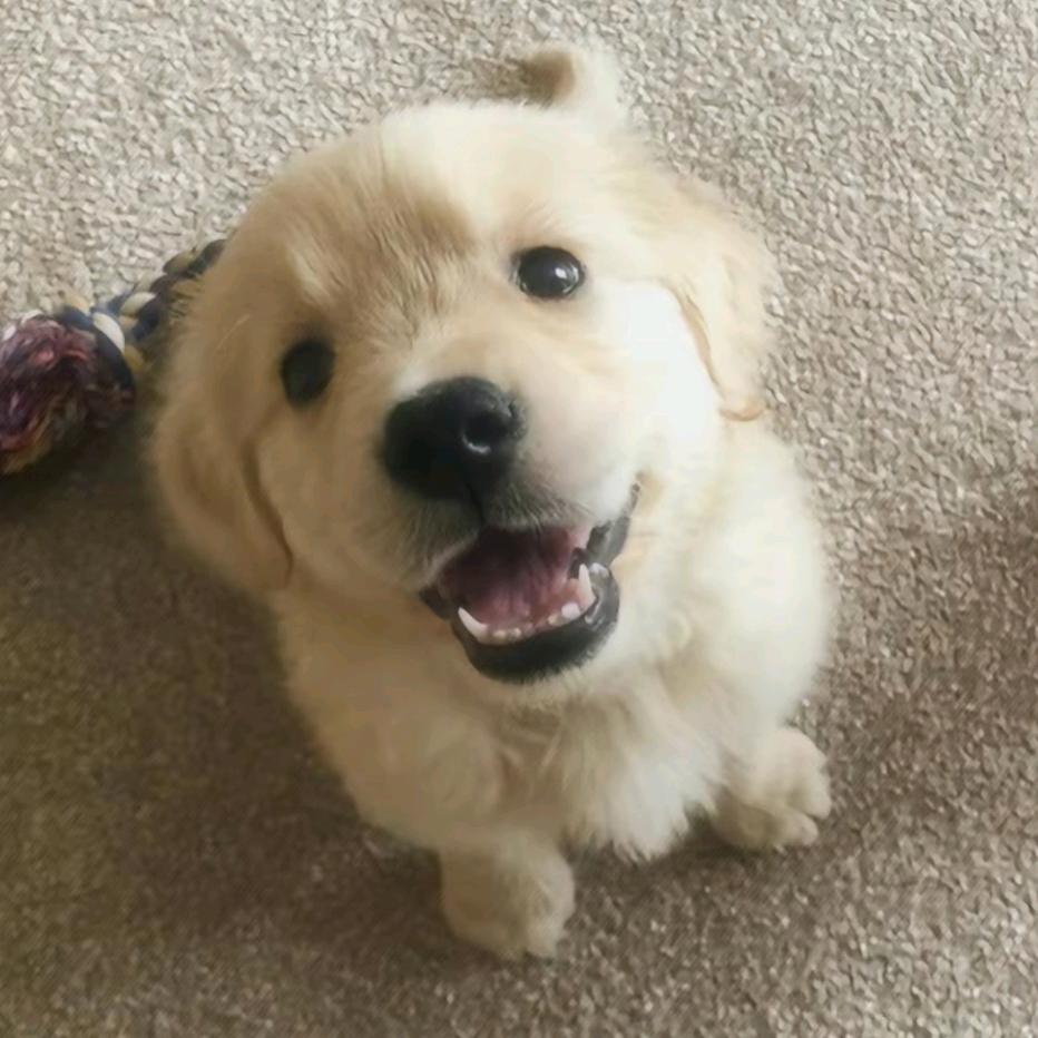 Ｏ(≧▽≦)Ｏ
