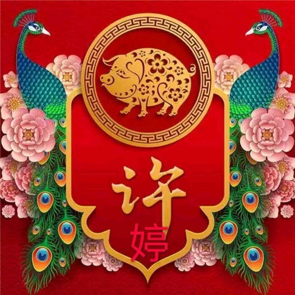 宿安畜禽服务中心（婷）