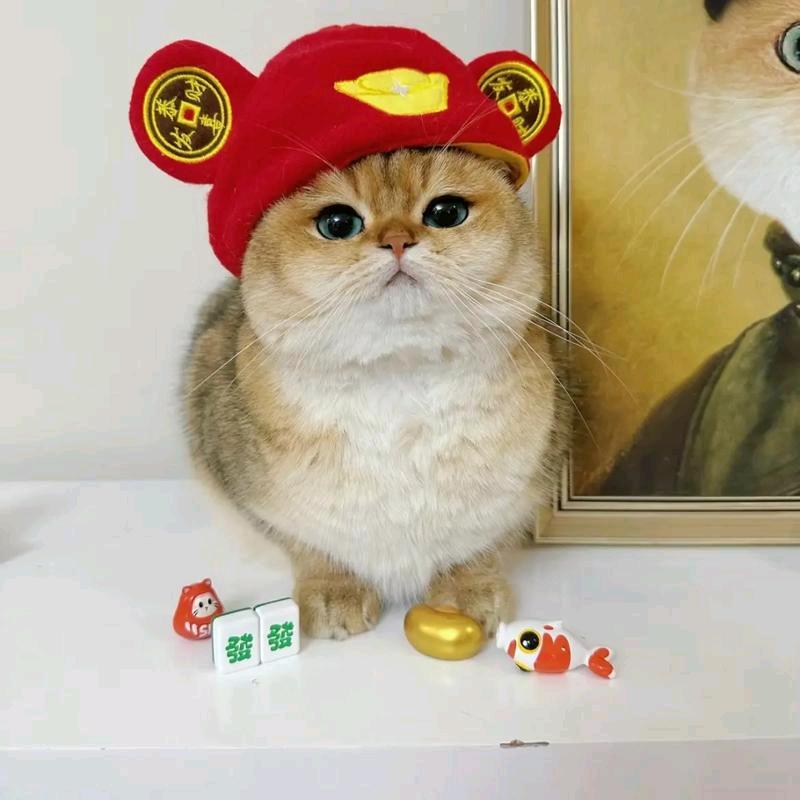小鬼卡社