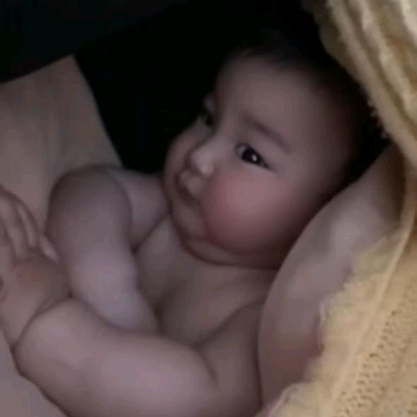 牛儿