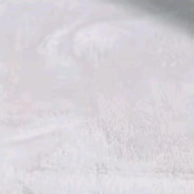 ⁹