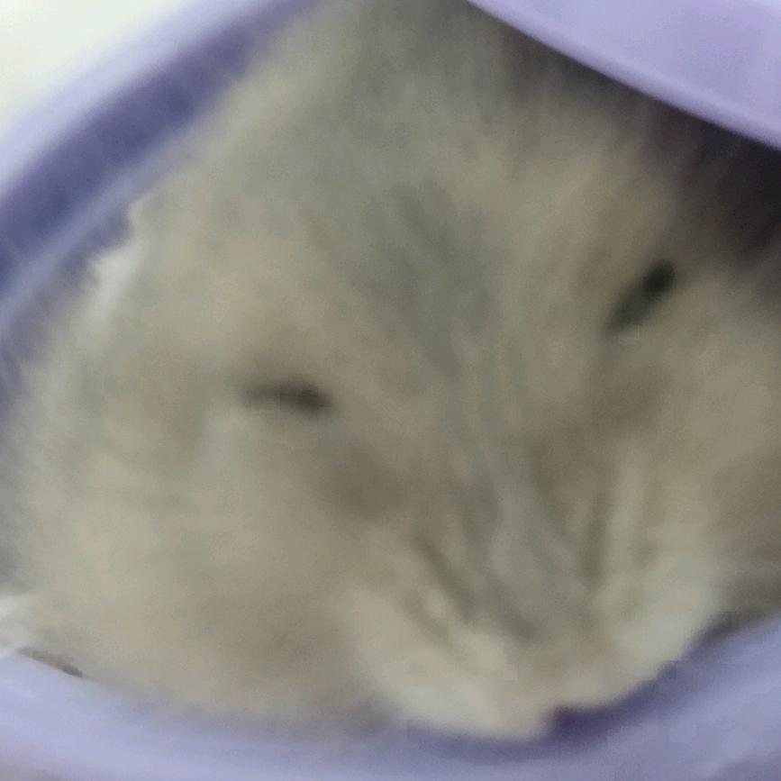 荔枝爱住殡仪馆