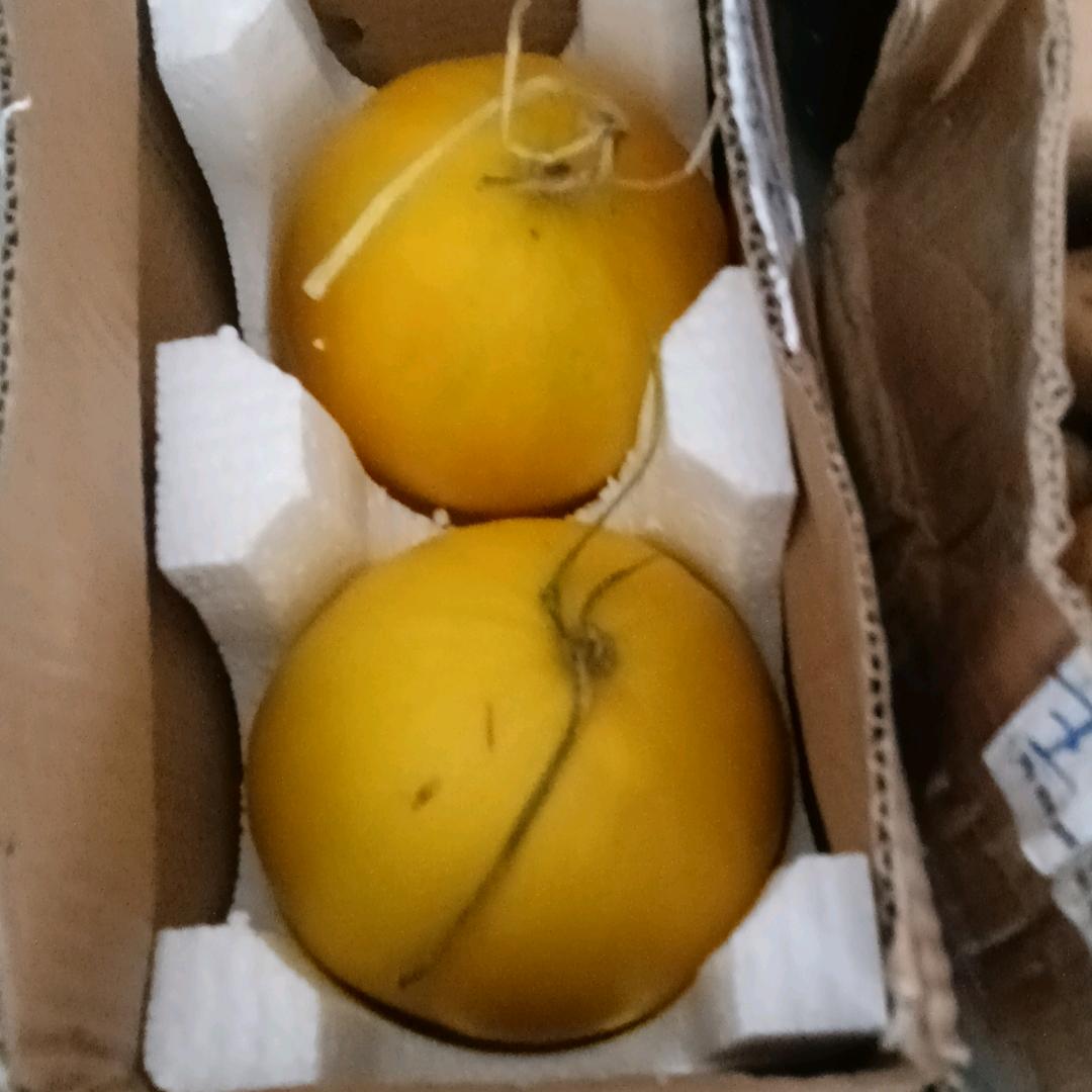 随波逐流