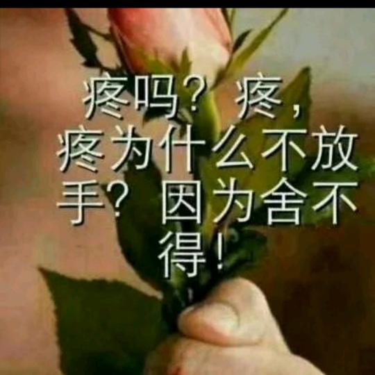 @情/海/洋