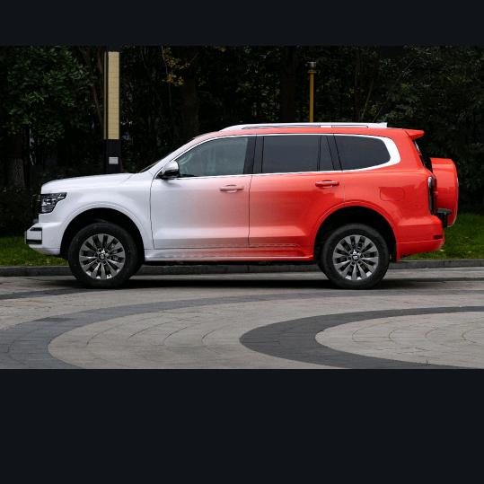 甘肃小胖在新疆