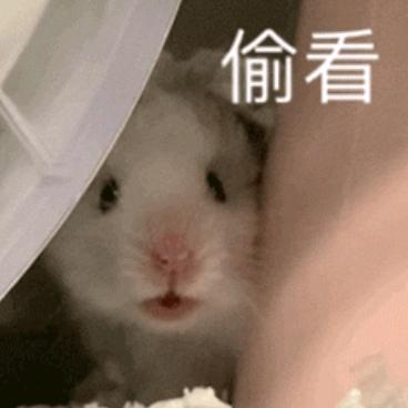 梦弦