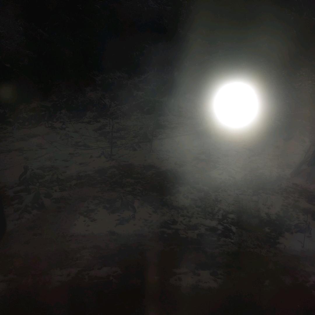 斌辉浪《患难兄弟阿辉》