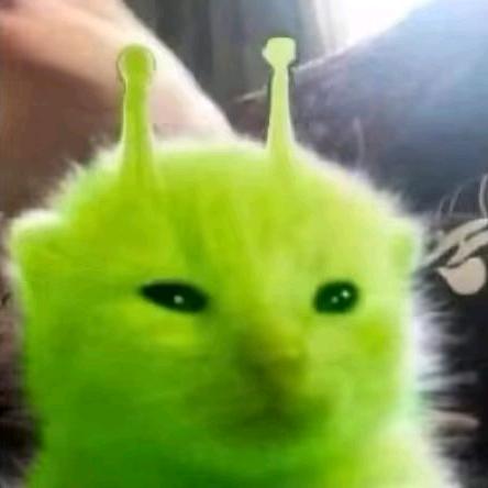 第五人格老太太