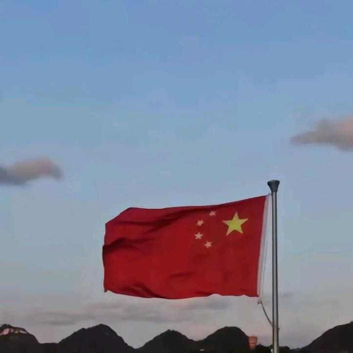 请叫我阿囤🐖儿