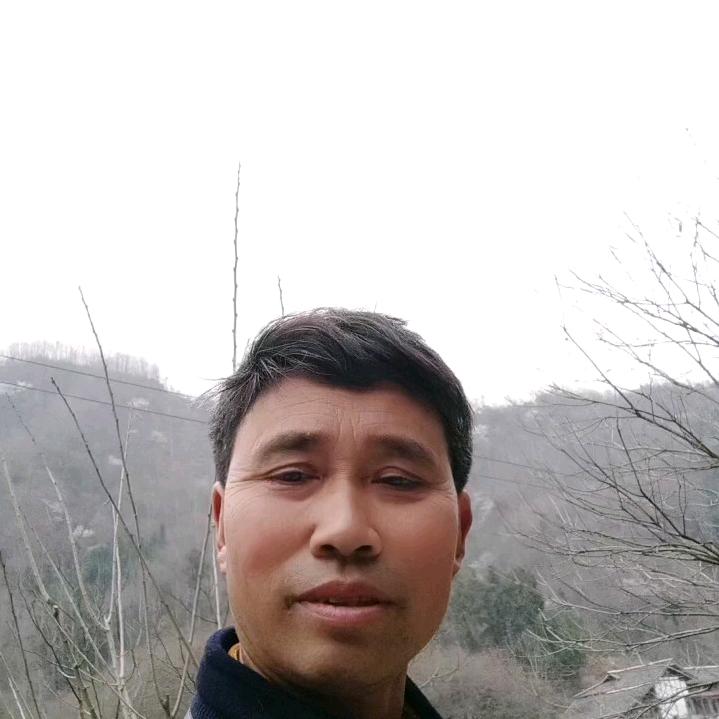 军师