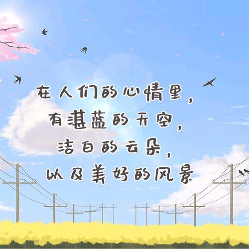佛系的小姐姐