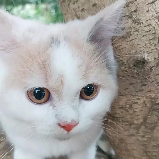 向阳❤️波妞