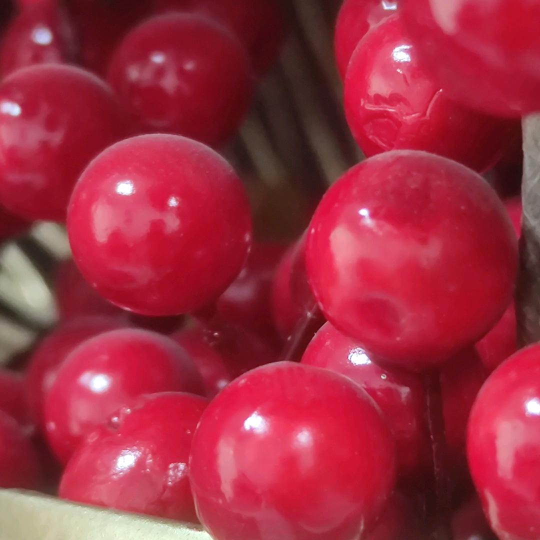 新日SUNRA锐驰金电动车专卖店直播间