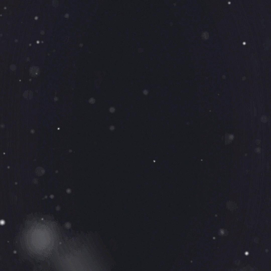 安
