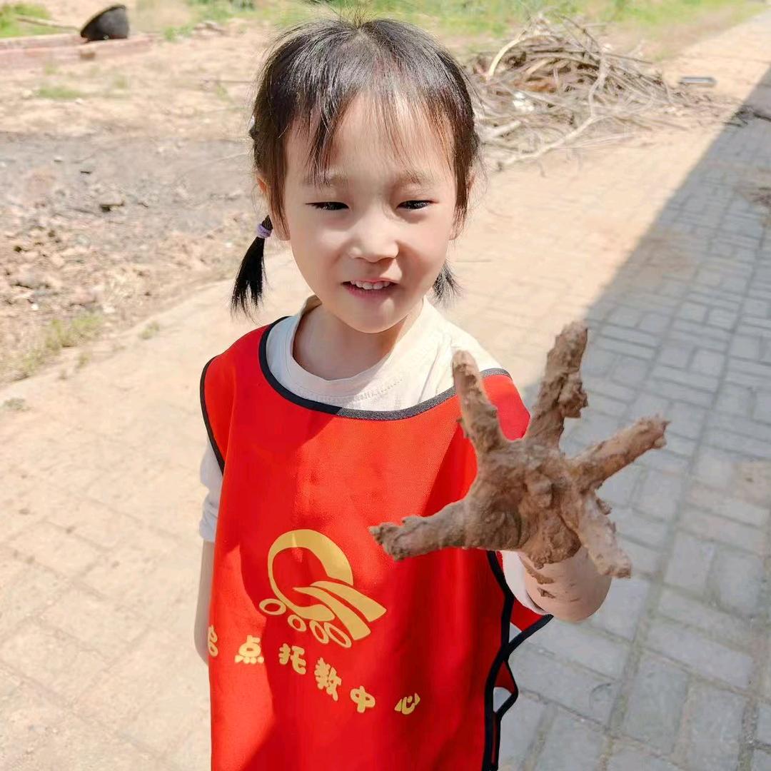 🌈万唯中考图书直发