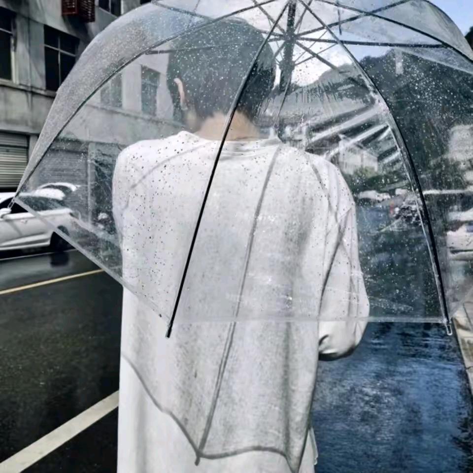 🌈随便🌈