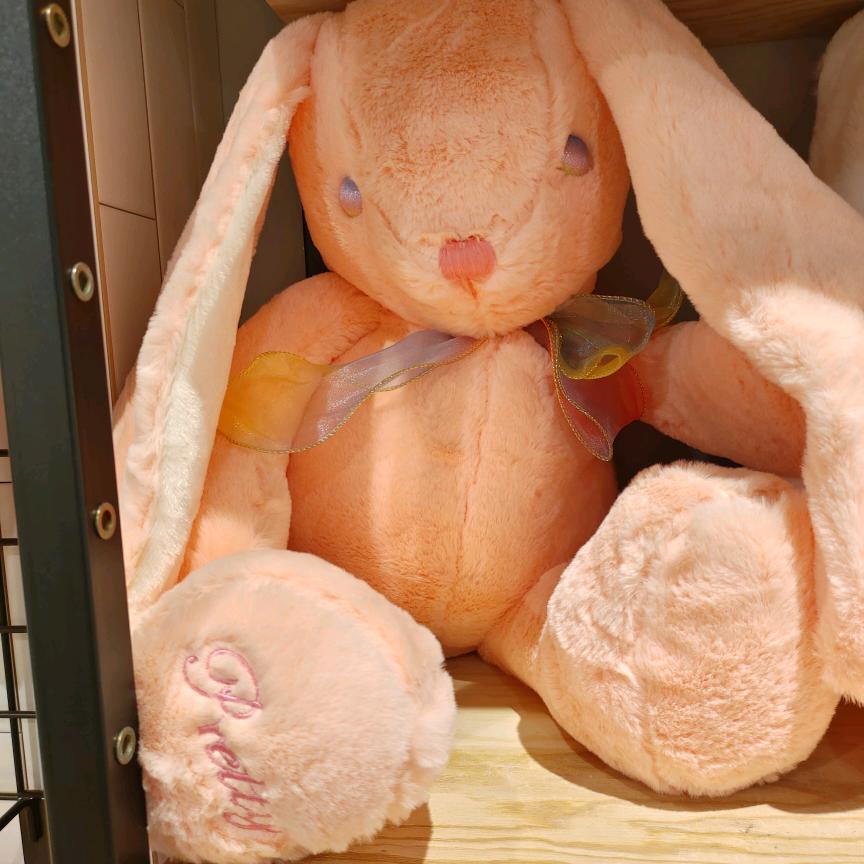 ☞蘭☜🥰炒栗子🌰