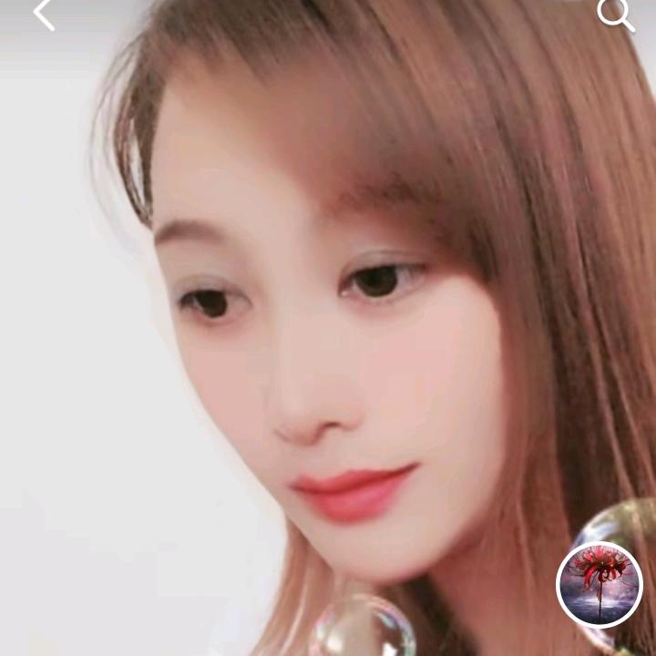 梅子创业（种植、养殖、美业）