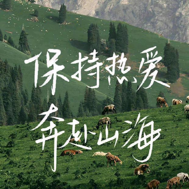盐城高中数学