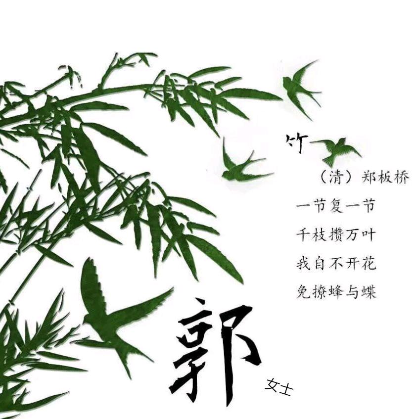 清雅竹韵