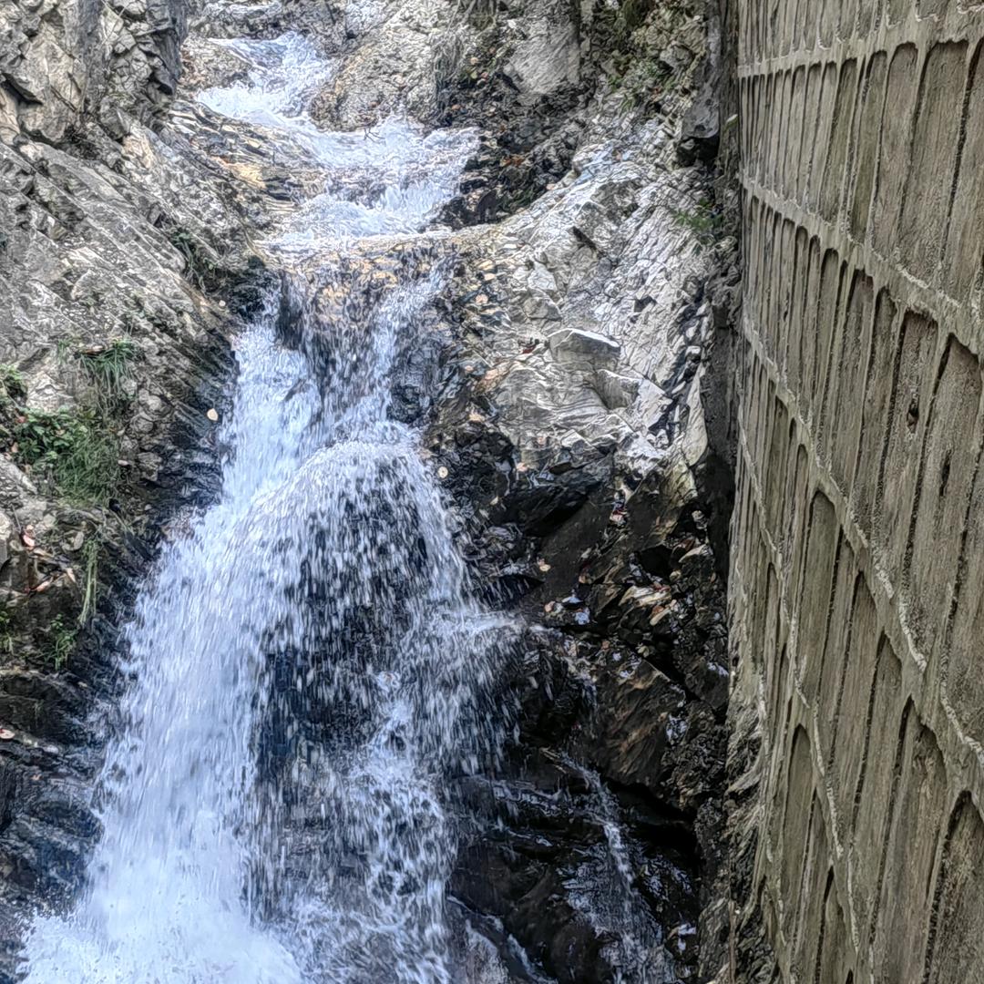 丰调雨顺