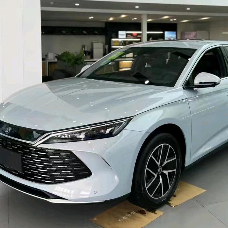 成都比亚迪王力宏