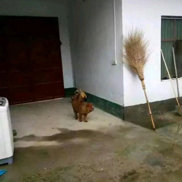 过客