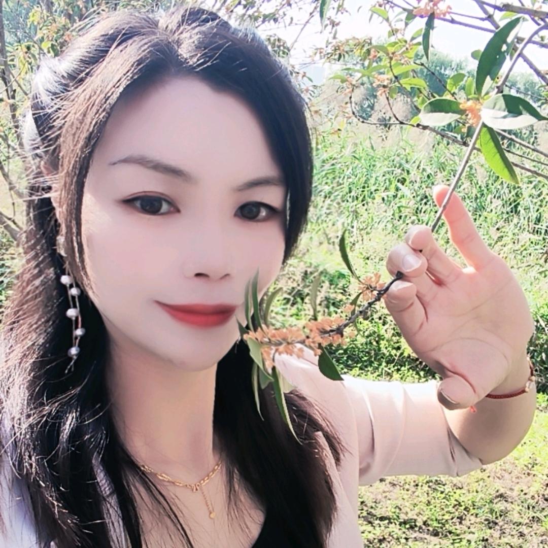 金足阁养生馆官方号